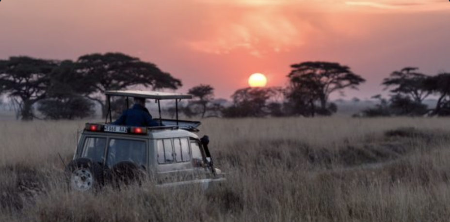 Un homme dans la savane avec une voiture